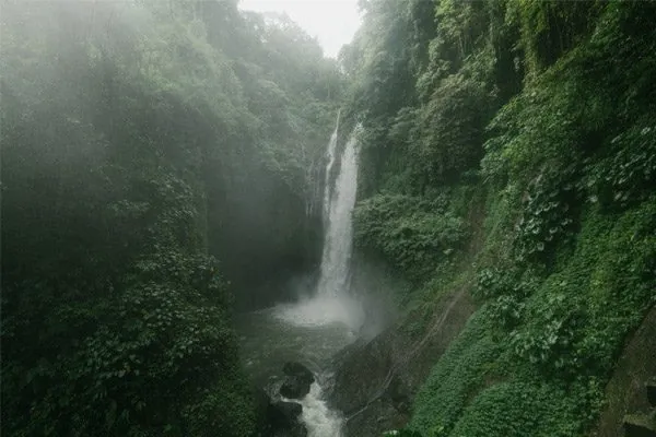 Giorno 4 - Munduk: trekking tour e cascate
