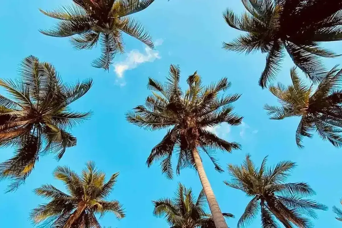 Thailandia in Estate – Da Bangkok al Nord e soggiorno...