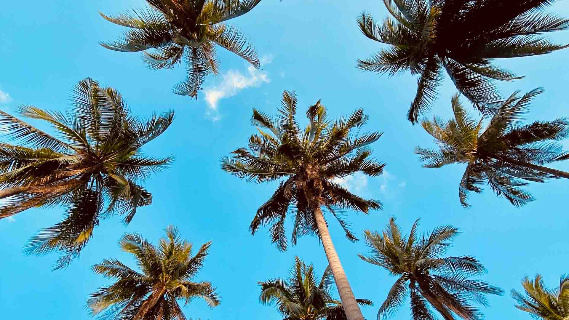Thailandia in Estate – Da Bangkok al Nord e soggiorno...