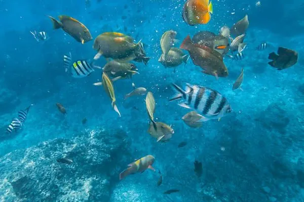 Giorno 10 - Snorkeling alle Gili segrete