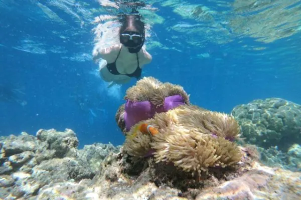Giorno 9 - Snorkeling a Menjangan