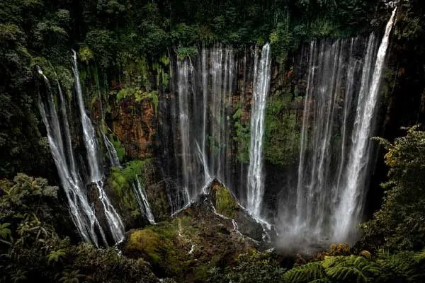 Giorno 7 - Visita delle cascate Tumpak Sewu e trasferimento verso zona Ijen