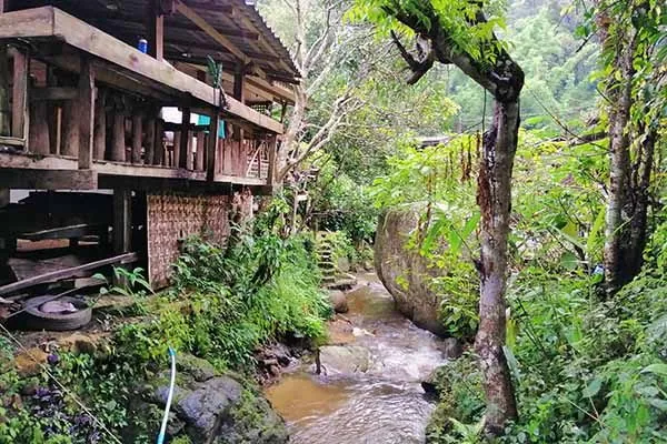 GIORNO 7 - Ecotour a Mae Kampong con Homestay