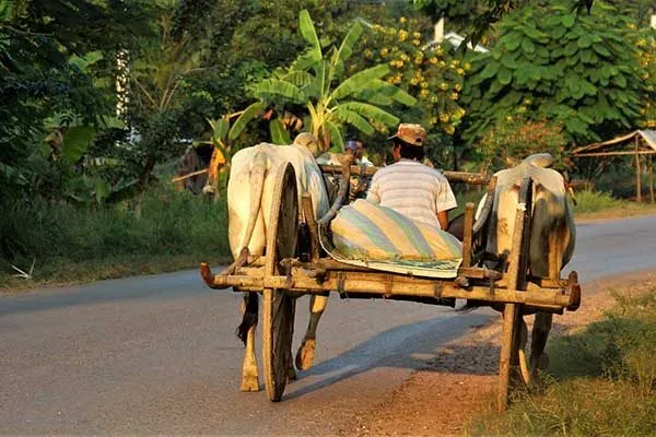 GIORNO 12 – Da Battambang a Siem Reap
