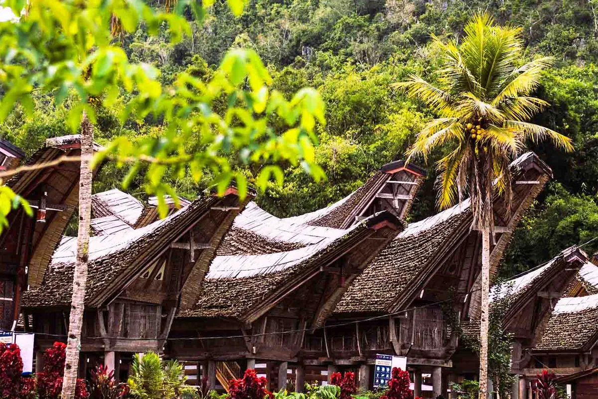 Alla scoperta del Sulawesi: le antiche tradizioni di...