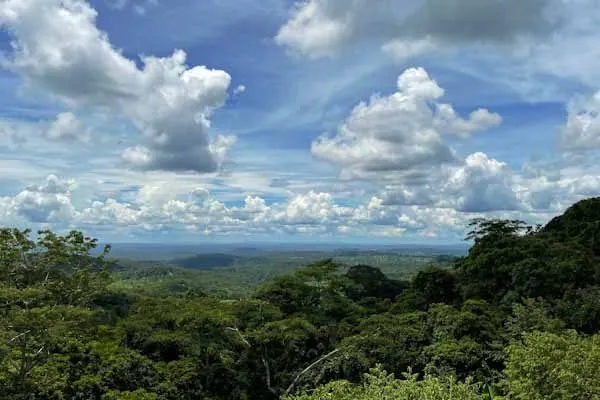 Giorno 5 - Esperienza nella giungla a Ratanakiri