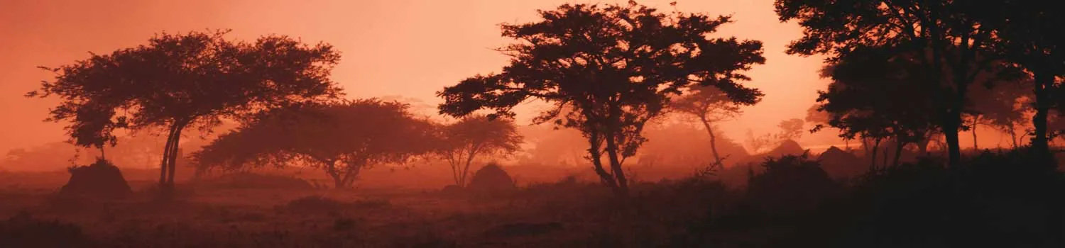 La savana Ruandese al tramonto