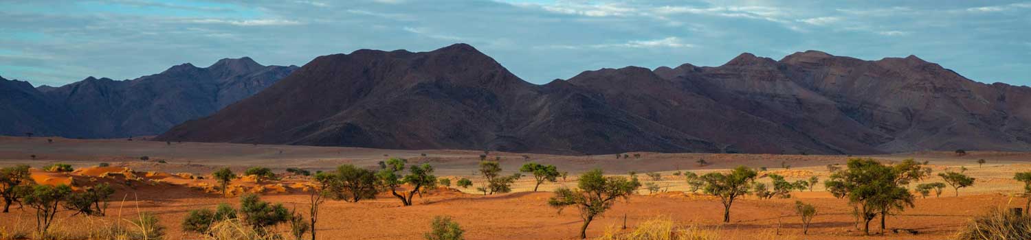 panorama del deserto della Namibia circondato dalle montagne