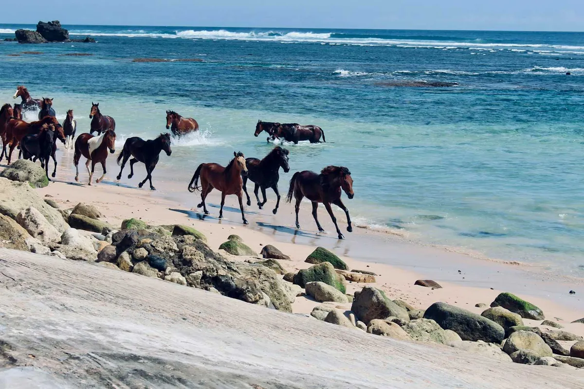 Bali Sumba e relax a Nusa Lembongan | Tour