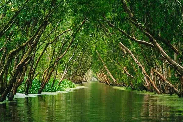 GIORNO 13 – Il Delta del Mekong: il mercato galleggiante di Cai Rang e la riserva naturale di Tra Su